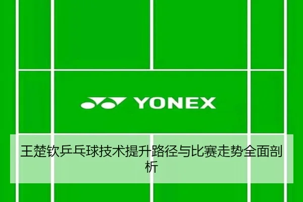 王楚钦乒乓球技术提升路径与比赛走势全面剖析
